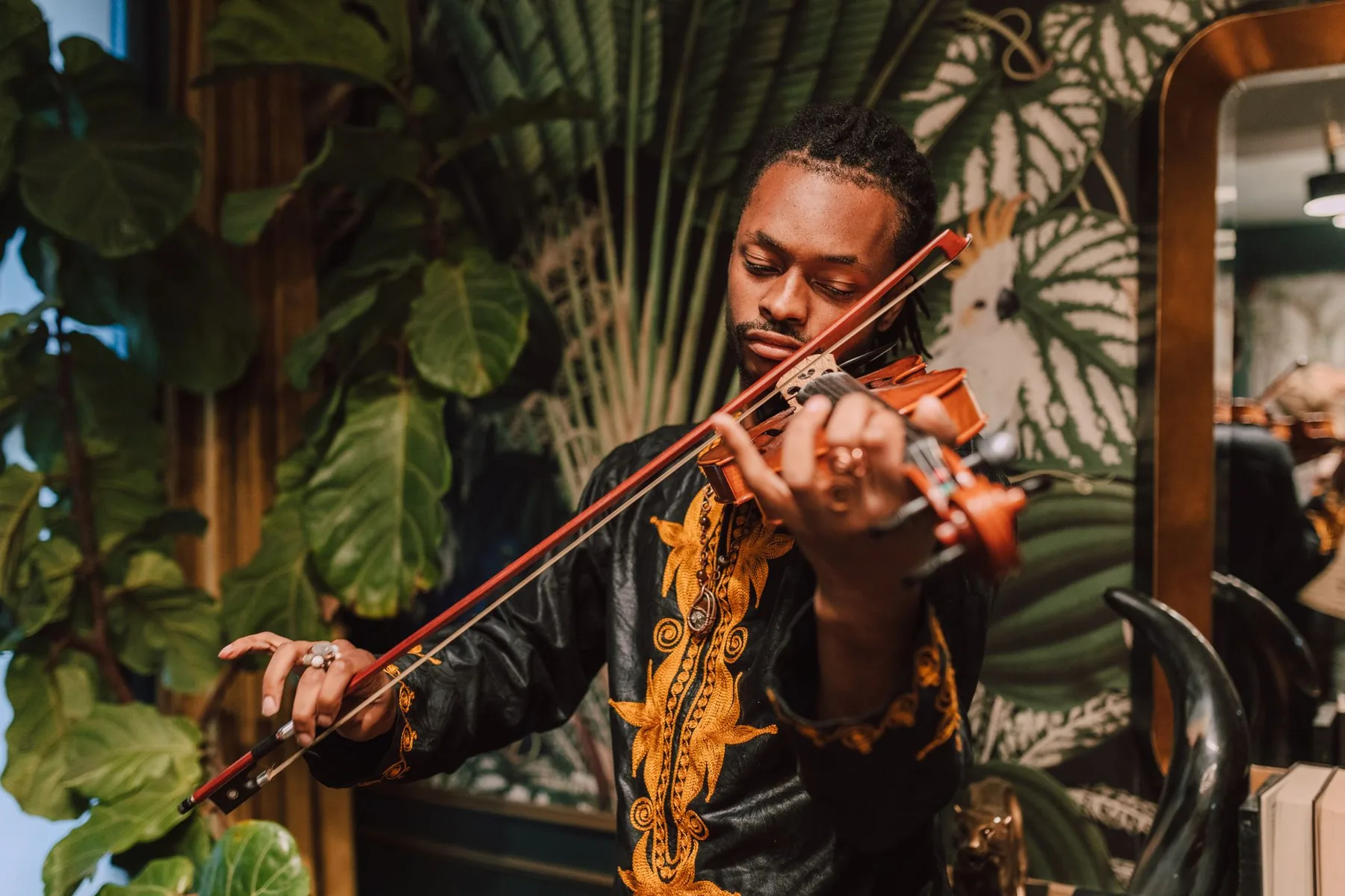 Violinist blending rock and folk music Violinist blending rock and folk music